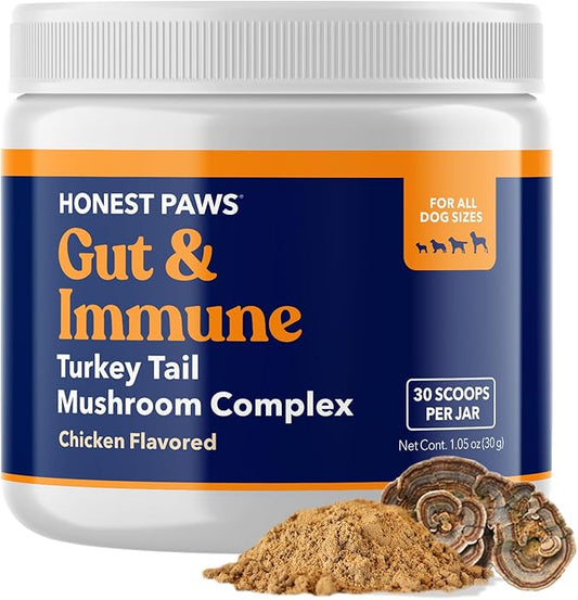 Honest Paws Dog Digestive and Immunity Booster – Turkey Tail Mushroom Blend - Shiitake, Reishi, Maitake Mushroom Extract Formula - No Filler, No Additives - (1.05 oz)