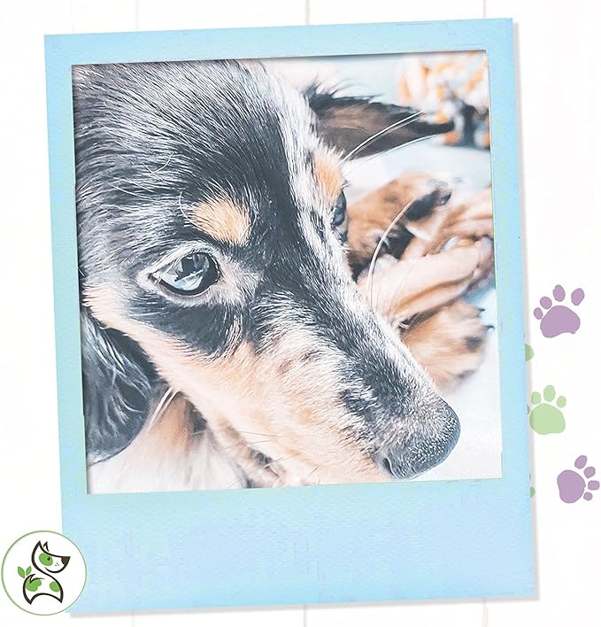 Nature Gnaws Variety Pack - Long Lasting Dog Chews for Dogs - Combo Pack of Bully Sticks, Beef Gullet and More - Dental Chews - Puppy Training Reward