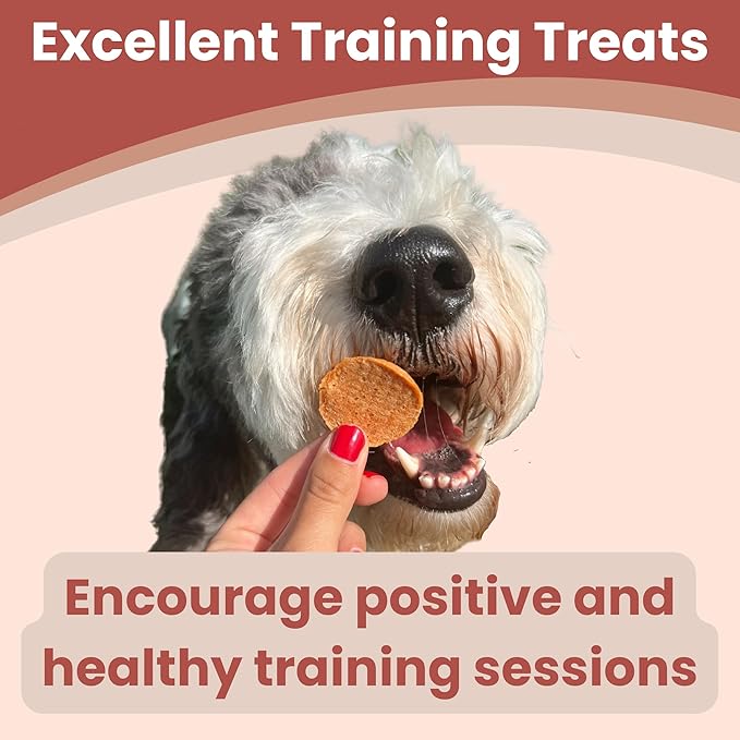 Dog Training Treats - Turkey Chips, Single Ingredient, Lean, All Natural, Healthy Dog Treats for Small, Medium, Large Dog Breeds, & Puppies, Made in USA