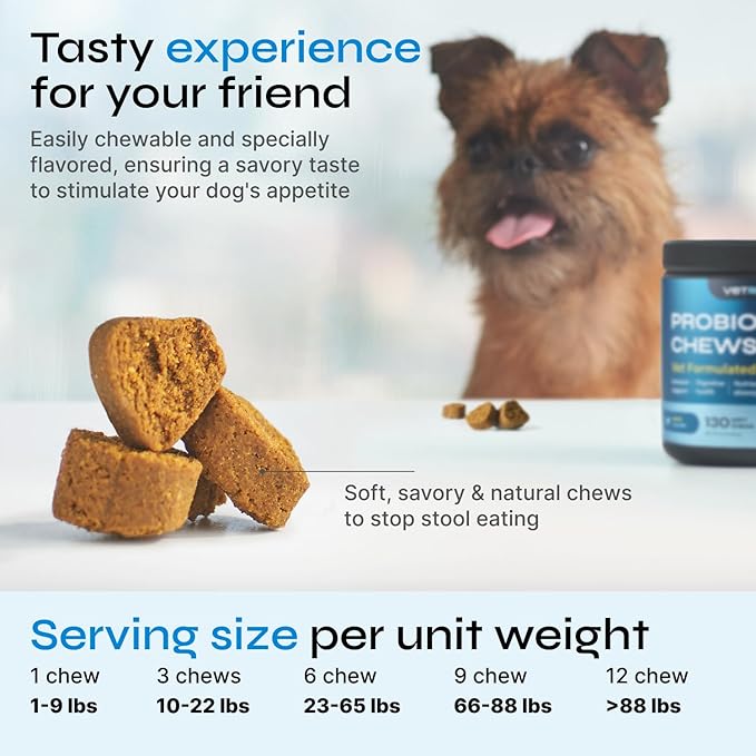 Probiotics for Dogs - Dog Probiotics for Digestive Health - Probiotic Chews for Dogs with Digestive Enzymes - Dog Gut Health Probiotics - Pet Probiotics for Dogs Gut Health Digestive