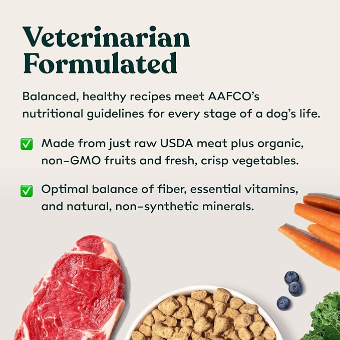 Freeze Dried Fresh Dog Food Raw Beef Recipe - Picky Eater-Approved Limited Ingredient Dog Food for All Stages - High Protein, Small Batch, Grain Free Raw Dog Food, 15 oz