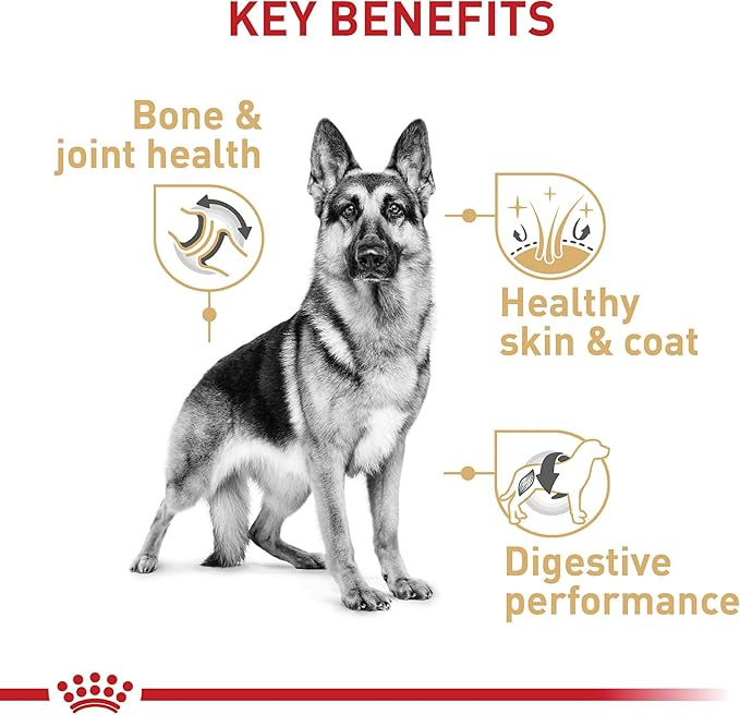 Royal Canin German Shepherd Adult Dry Dog Food, 30 lb bag
