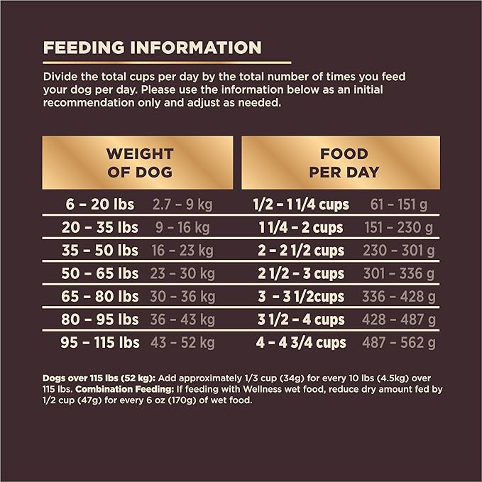 Wellness CORE+ Grain-Free Dry Dog Food, Natural Ingredients, Made in USA with Real Freeze-Dried Meat (Adult, Ocean, 18 lbs)