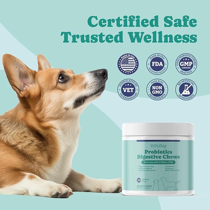 Probiotics for Dogs, Dog Probiotics and Prebiotic with Enzymes, for Gut and Digestive Health, Support Immune System, Chicken Flavor, 120 Soft Chews
