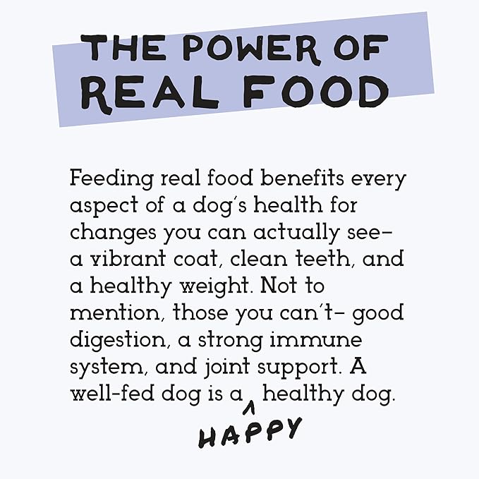 Simple Food Project - Duck Recipe - Freeze Dried Raw Food for Dogs - 24oz