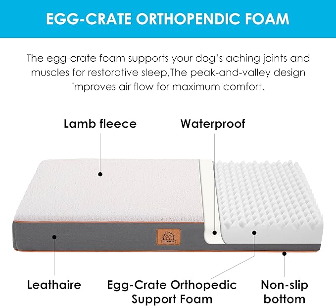 Jumbo Dog Bed Extra Large Waterproof Dog Bed, Big Orthopedic Dog Beds with Removable Washable Cover for Extra Large Dogs, Pet Bed Mat Egg-Crate Foam, 3XL(47"X29"X4"), Light Gray