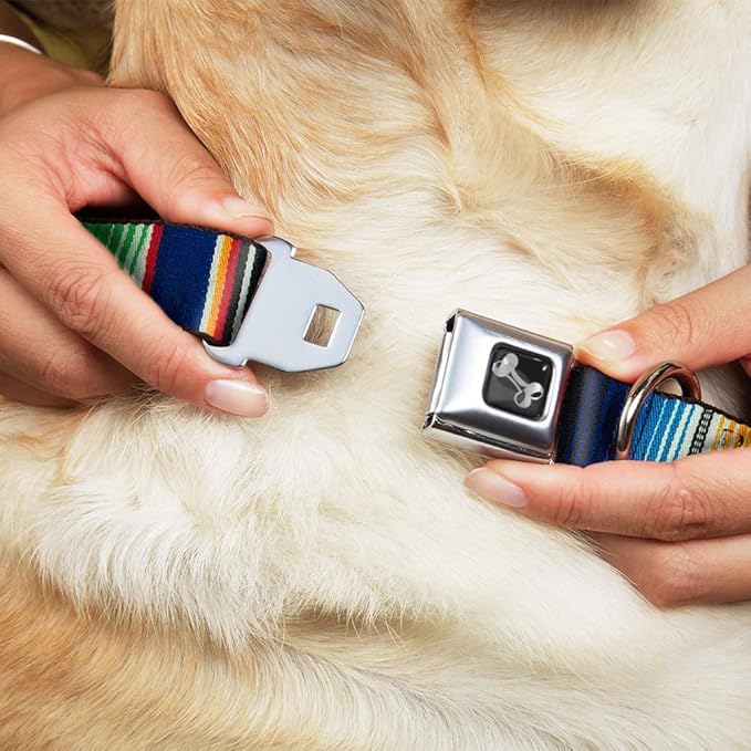Buckle-Down Seatbelt Buckle Dog Collar - Zarape2 Vertical Multi Color Stripe - 1" Wide - Fits 15-26" Neck - Large