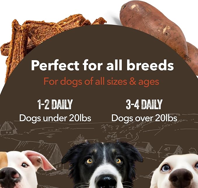 Gaines Family Farmstead Sweet Potato & Salmon Fillets for Dogs, All-Natural, Grain-Free, Healthy Dog Treats for All Ages & Breeds, Made in USA, 8 oz