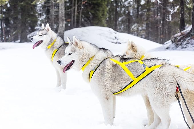 Neewa Sled Pro Harness (XX-Large, Yellow), Dog Pulling Harness, Husky Harness, Mushing Harness, X Back Harness Dog for Dog Exercise, Bikejoring, Skijoring, Dog Sledding, Canicross, Dog Harness