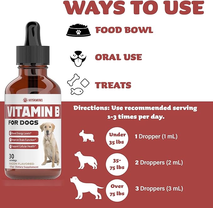 Vitamin B for Dogs | Vitamin B Complex for Dogs | Vitamin B12 for Dogs | Dog Vitamins | B12 Vitamins for Dogs | Vitamin B Dog Supplements | B Complex for Dogs | B12 for Dogs | Do1 fl oz: Bacon Flavor