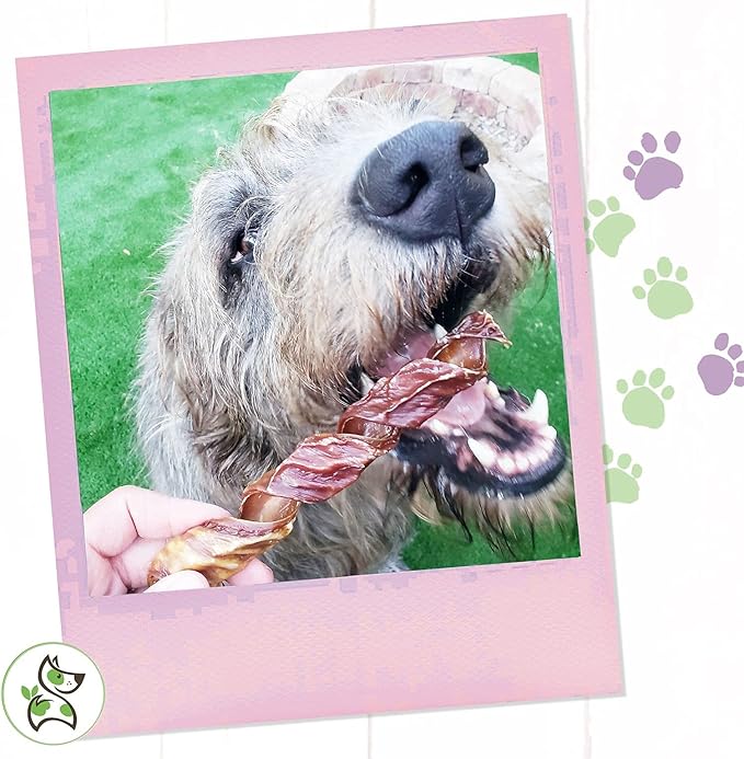Nature Gnaws - Beef Jerky Springs for Dogs - Premium Natural Beef Gullet Sticks - Simple Single Ingredient Tasty Dog Chew Treats - Rawhide Free 7-8 Inch