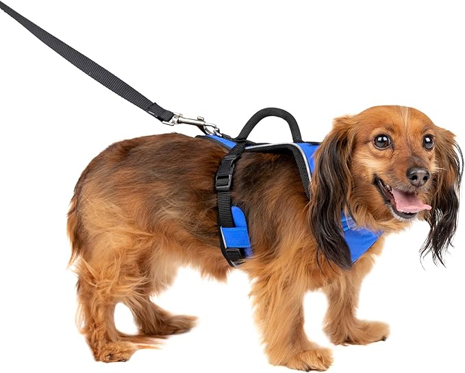 PetSafe EasySport Dog Harness, Adjustable Padded Dog Harness with Control Handle and Reflective Piping, From the Makers of the Easy Walk Harness,Blue,Extra Small