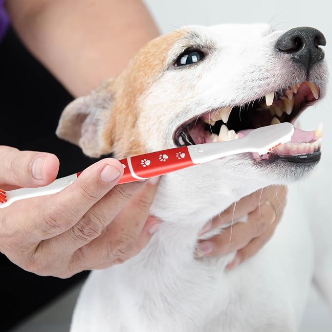 Dog Toothbrush, Double Headed Pet Toothbrush with Soft Bristles, Easy Teeth Cleaning, Dog Dental Care for Puppies, Cats and Small Pets