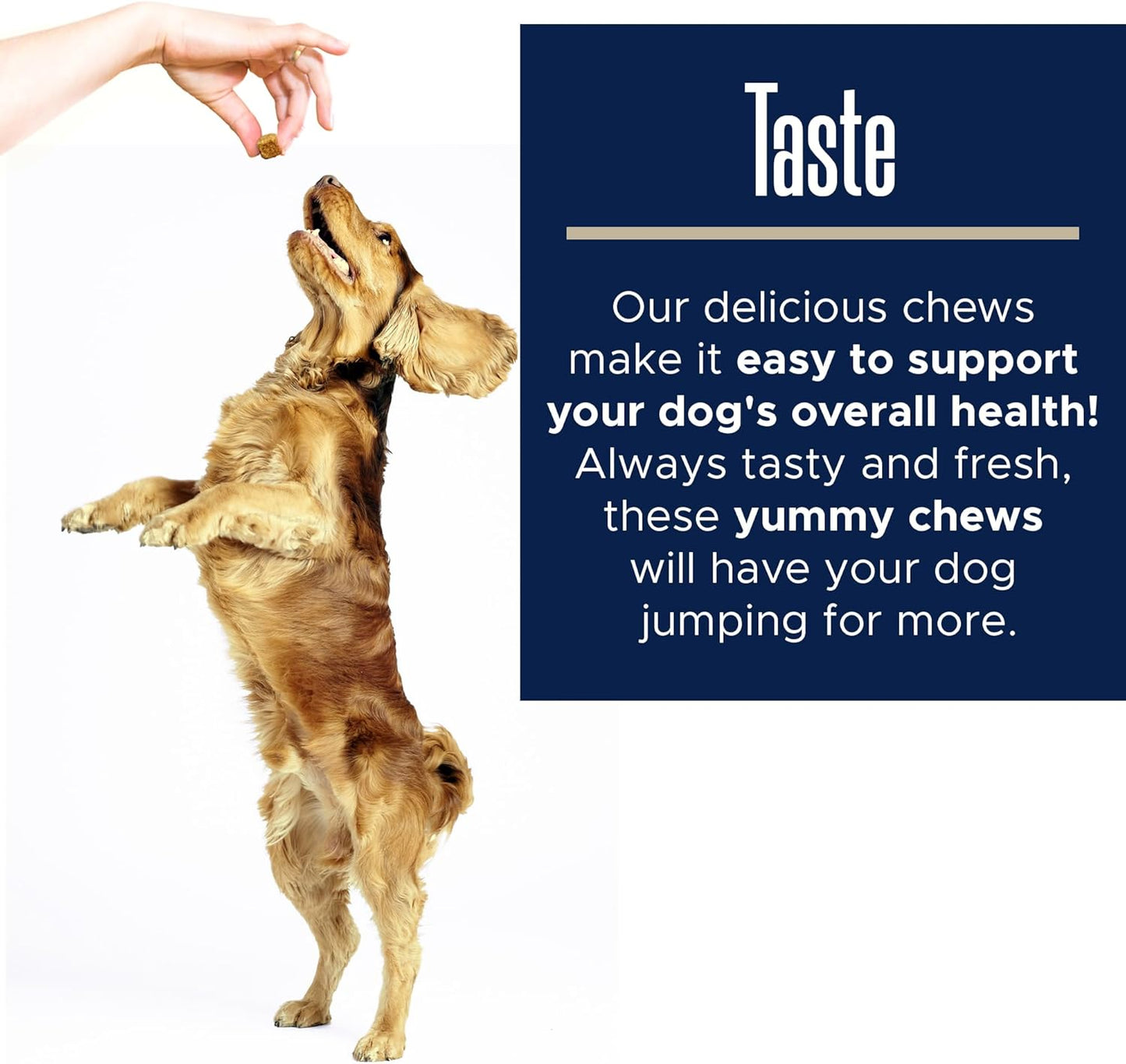 Stop Poop Eating for Dogs 120 Soft Chews - Dog No Scoot Coprophagia Stool Eating Deterrent with Bad Breath Remover and Digestive Enzymes for Gut Health and Nutrient Absorption