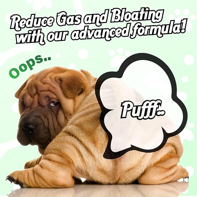 Probiotics for Dogs, Digestive Support, Dog Supplements with Enzymes