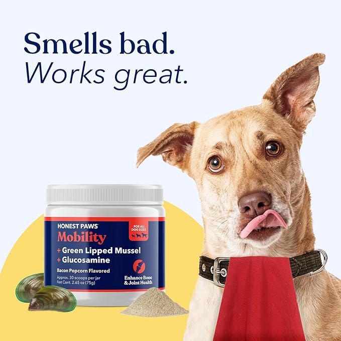 Honest Paws Mobility Bone and Joint Supplement for Dogs - Enhance Bone Health Lubricate Joints - Green Lipped Mussel, Glucosamine, Fish Oil, Chondroitin Sulfate, MSM, Vitamin C with Natural Flavors