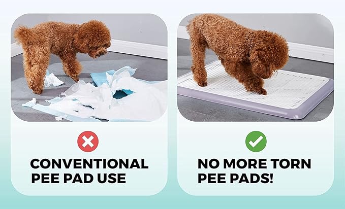 Pet Awesome Dog Potty Tray/Puppy Pee Pad Holder 25”x20” Indoor Wee Training for Small and Medium Dogs