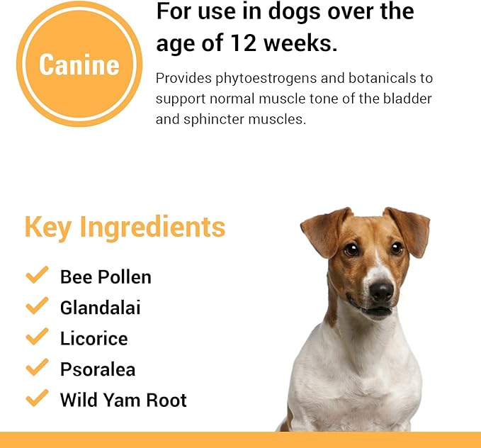 Vet Classics Bladder, Incontinence Support Dog Supplement – Supports Bladder Health for Dogs, Helps With Pet Incontinence – Includes Phytoestrogens, Botanicals – Chewable Tablets – 120 Ct.
