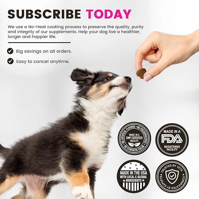 Digestive Support Probiotics, Prebiotics, Postbiotics for Dogs | Soft Chews Supplements for Itchy Skin, Ears, Paw Licking | Natural Enzymes for Canine Gut Health, Diarrhea & Bowel Support