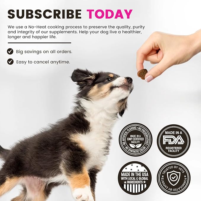 Digestive Support Probiotics, Prebiotics, Postbiotics for Dogs | Soft Chews Supplements for Itchy Skin, Ears, Paw Licking | Natural Enzymes for Canine Gut Health, Diarrhea & Bowel Support