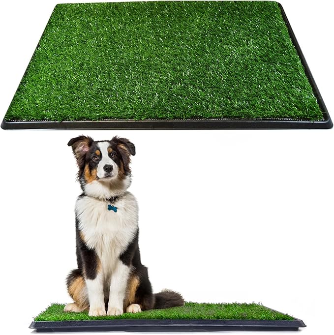 Downtown Pet Supply Dog Grass Pad with Tray, 20 x 30 - Outdoor and Indoor Potty System for Dogs with Replaceable Synthetic Grass Pee Turf - Portable and Waterproof Turf Dog Potty