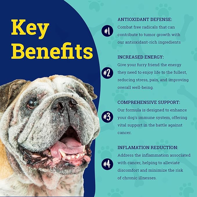 Cancer Care - Advanced Support for Dogs with Cancer - Mushroom-Based Formula - APRX. 55 Chews - Peanut Butter Flavor