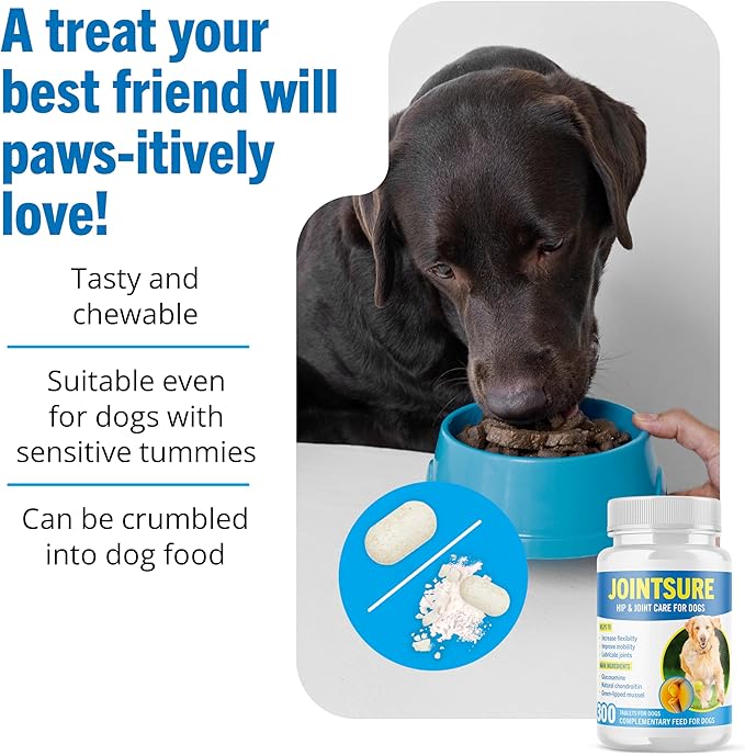 Hip and Joint Supplement for Dogs - Glucosamine for Dogs - Joint Support Supplement for Dogs with Glucosamine, Chondroitin and Green Lipped Mussels - 120 Tablets for All Breeds & Sizes