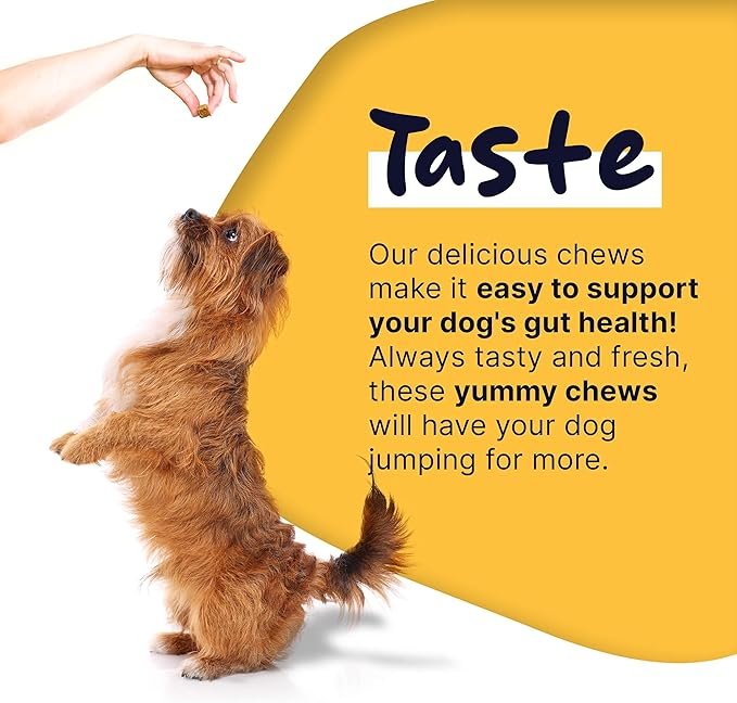 Dog Probiotics and Digestive Enzymes, 120 Delicious Chew Treats for Gut Health, Diarrhea, and Constipation - Hydrolyzes Nutrients for Better Absorption