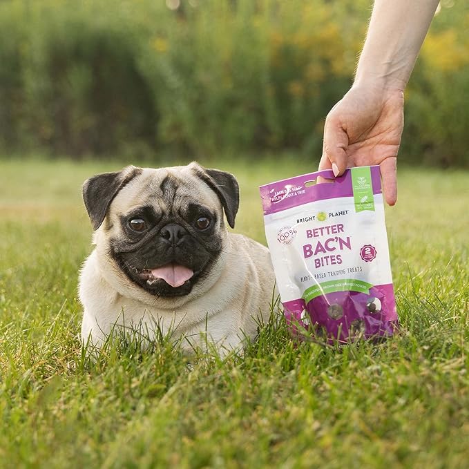 | Plant-Based Vegan Training Treats - 5oz | Sustainable Natural Clean Label Hypoallergenic Allergy-Friendly | Low-Calorie Soft Veggie Dog Treats | Made in USA (Better Bac'n)…