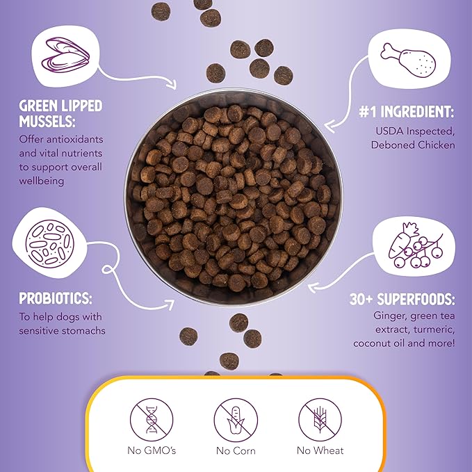 Health Extension Large Bites Dry Dog Food, Natural Food for Adult Large Breed Dogs with added Vitamins & Mineral, Chicken & Brown Rice Recipe (30 lb / 13.6 kg)