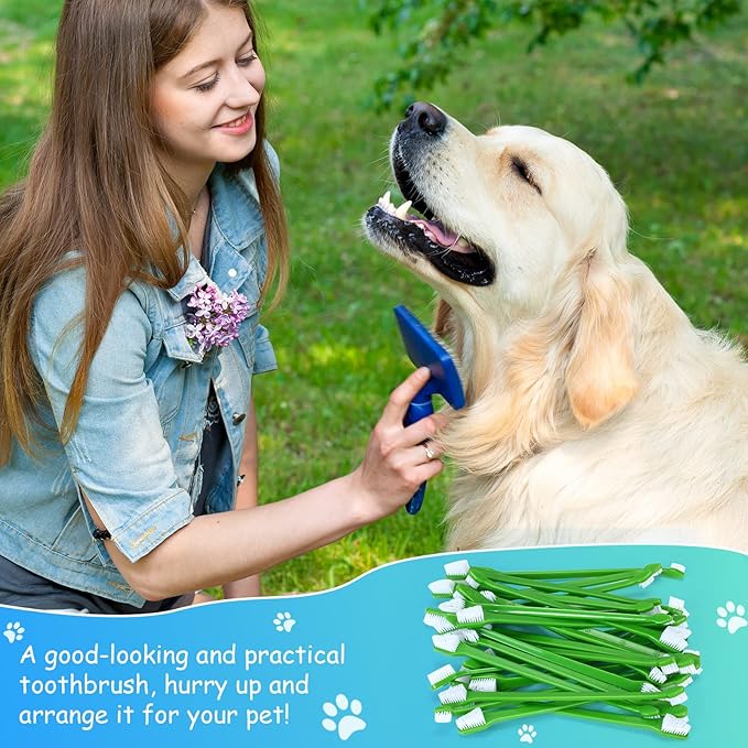 70 Pieces Dog Tooth Brush Pet Toothbrush Soft Grooming Dogs Toothbrush Dog Double Sided Toothbrush Puppy Long Handle Tooth Brush for Large and Small Teeth Cleaning Dental Oral Care (Green)