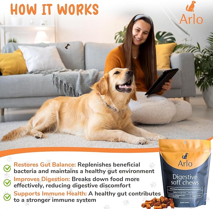 Daily digestive supplement