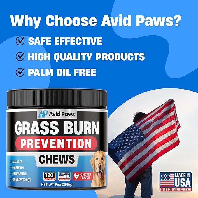 Dog Urine Neutralizer for Lawn - Green Grass Dog Chews Helps Lawn Burn from Dog Urine - Dog Pee Grass Neutralizer - Grass Savers for Dog Urine - Dog Rocks Alternative - Urinary Tract & Bladder Support
