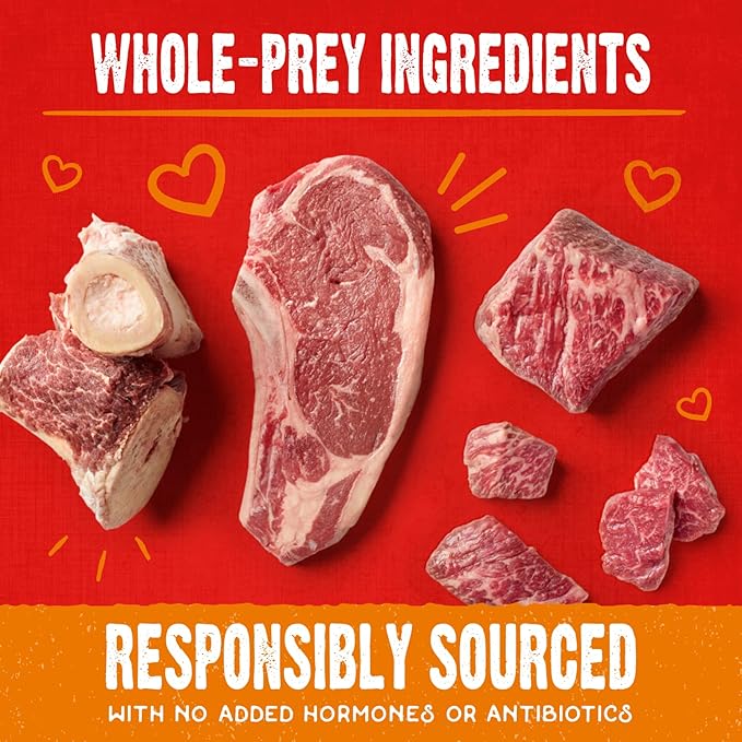 Stella & Chewy's Freeze-Dried Raw Coated Dog Biscuits – Grass-Fed Beef Recipe – Protein Rich, Grain Free Dog & Puppy Treat – Great Snack for Training & Rewarding – 9 oz Bag