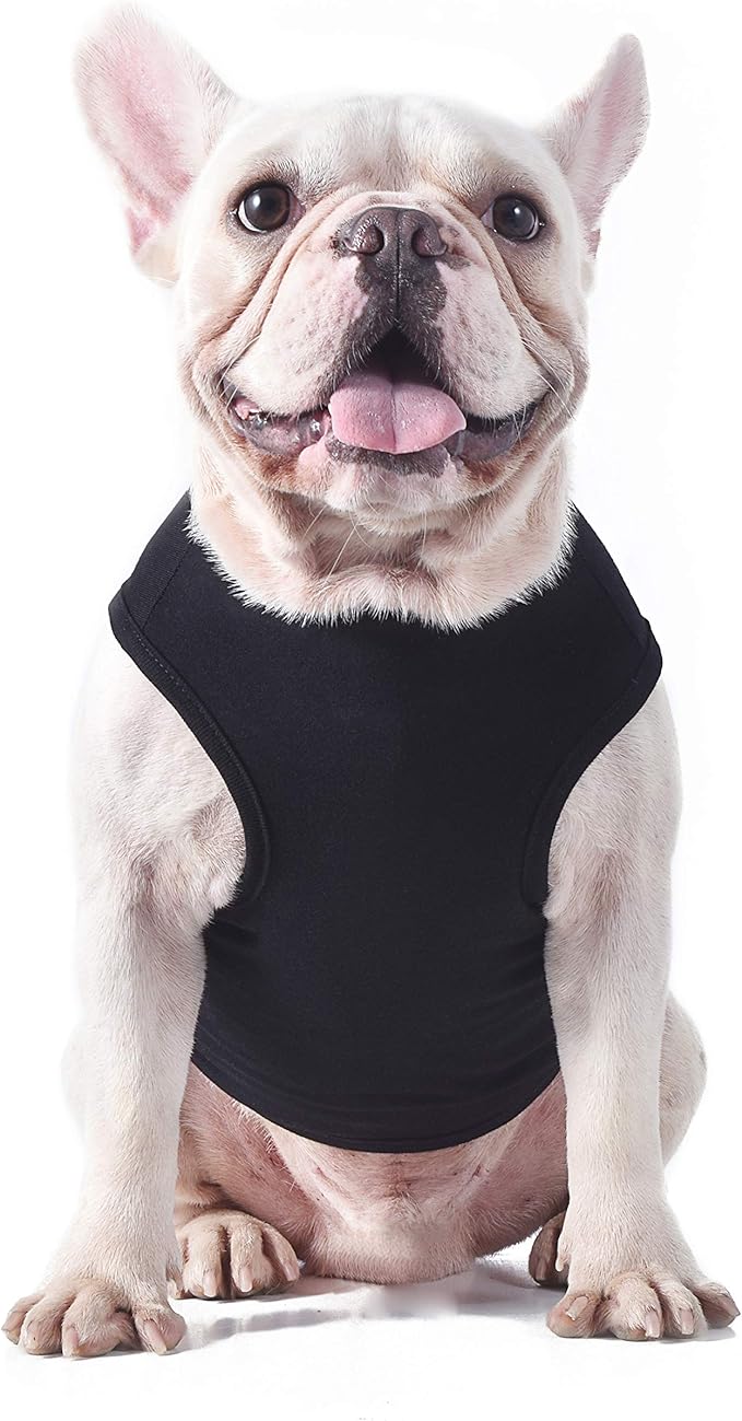 Star Wars for Pets Black & Yellow Logo Dog Tank | Star Wars Dog Shirt for Large Dogs | Size X-Large for Large Size Dog Breeds | Adorable Dog Clothing and Apparel
