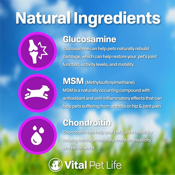 Liquid Glucosamine for Dogs Cats & Horses with Chondroitin, MSM, and Hyaluronic Acid, Hip & Joint Supplement for Mobility & Comfort, Supports Joint Health & Flexibility, Mobility, & Protection, 32 oz