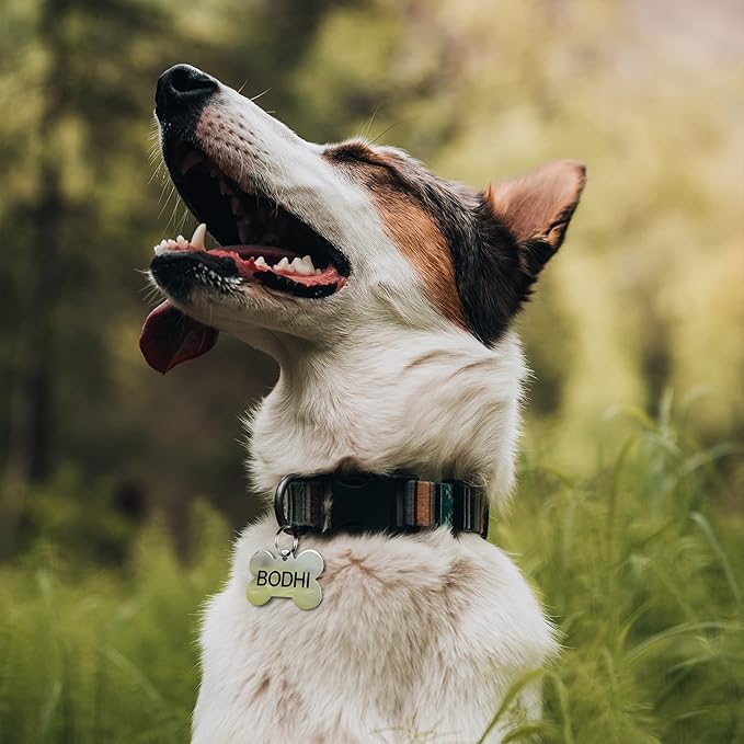GoTags Dog Tags Personalized Engraved Pet ID Tags, Stainless Steel, Front and Backside Engraving, Available in Bone, Round, Heart, Bow Tie and More, Small and Large Dog and Cat (Pack of 1)