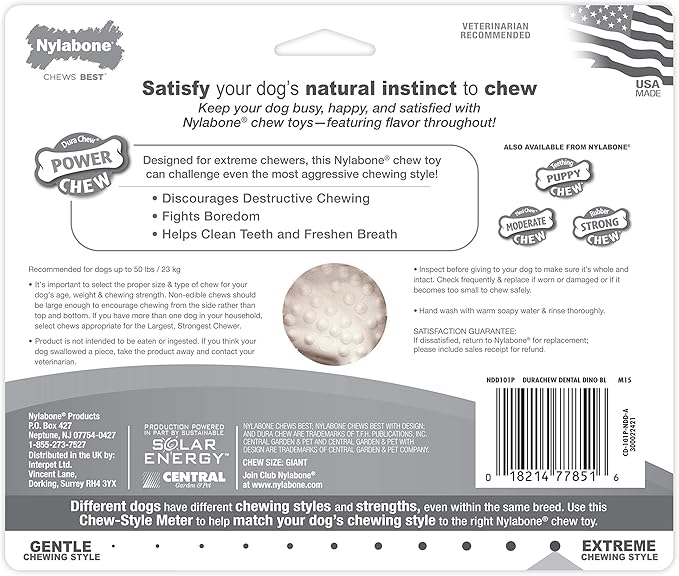 Nylabone Power Chew Dental Chew Toy Durable Dinosaur Dog Toy, Chicken Flavor, Large/Giant (1 Count)