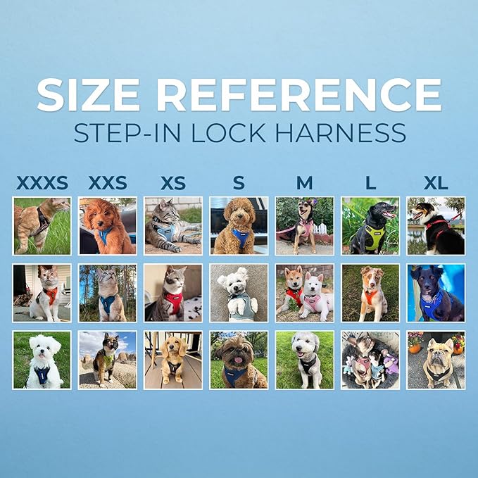 Voyager Step-in Lock Dog Harness w Reflective Dog Leash Combo Set with Neoprene Handle 5ft - Supports Small, Medium and Large Breed Puppies/Cats by Best Pet Supplies - Baby Blue/Black Trim, XL