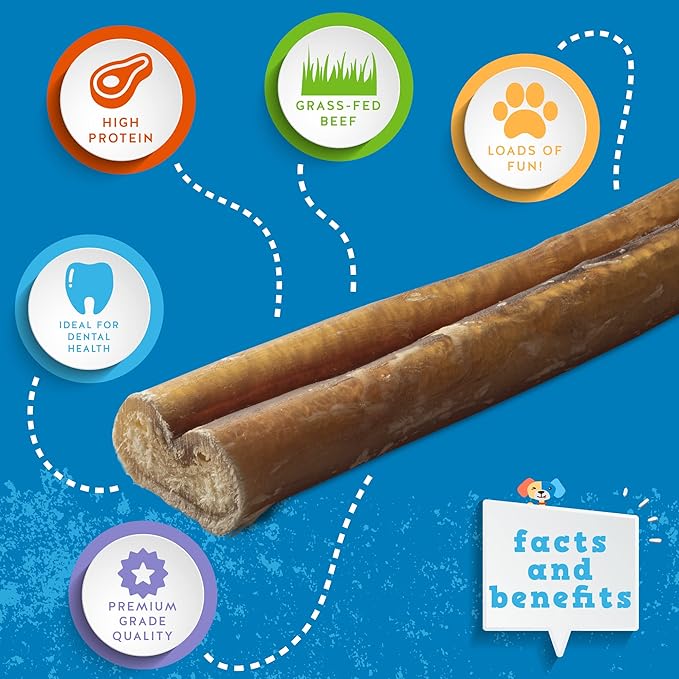 Jack&Pup 12-inch Premium Grade Odor Free Bully Sticks Dog Treats (18 Pack) 12” Long All Natural Gourmet Dog Treat Chews Fresh and Savory Beef Flavor – Long Lasting Treat