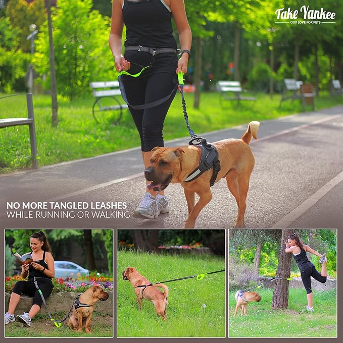 Hands Free Dog Leash for Running +Training Leash Walking & Double Dog Leash Coupler Set, Fits 2 Dogs - Bungee Leash & Reflective Leash - Adjustable Waist Belt & Retractable Leashes Take Yankee
