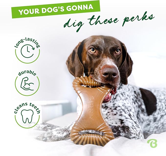 Benebone Dental Durable Dog Chew Toy for Aggressive Chewers, Real Peanut, Made in USA, Small