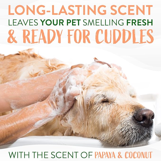 TropiClean 2-in-1 Papaya & Coconut Dog Shampoo and Conditioner | Natural Pet Shampoo Derived from Natural Ingredients | Cat Friendly | Made in the USA | 20 oz.