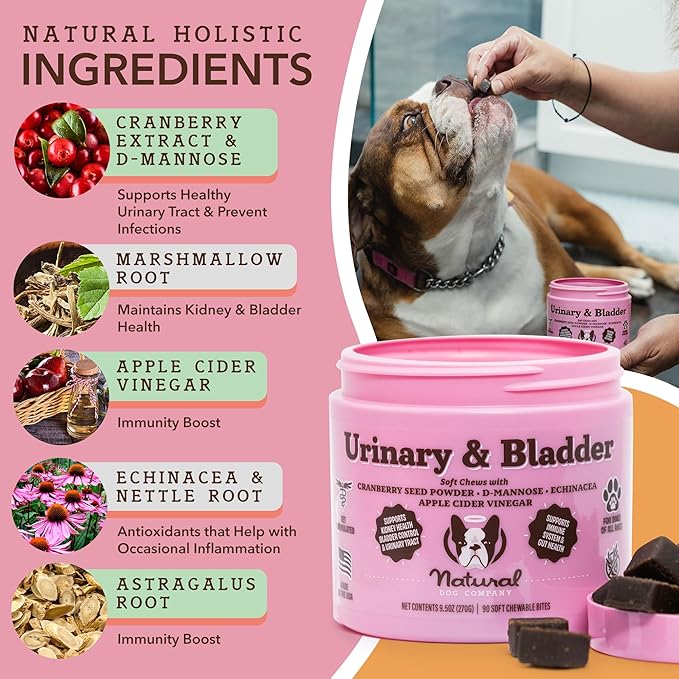 Natural Dog Company Cranberry Supplement for Dogs - Urinary & Bladder Support for Dogs - D-Mannose for Dogs Promotes Bladder Health - Turkey Flavor - Dog UTI Incontinence Supplement - 90 Soft Chews