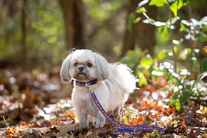 Pets First NHL Colorado Avalanche Leash for Dogs & Cats, Medium. - Walk Cute & Stylish! The Ultimate Hockey Fan Leash!, medium (4 ft long x 0.62 in width) (AVA-3031-MD)
