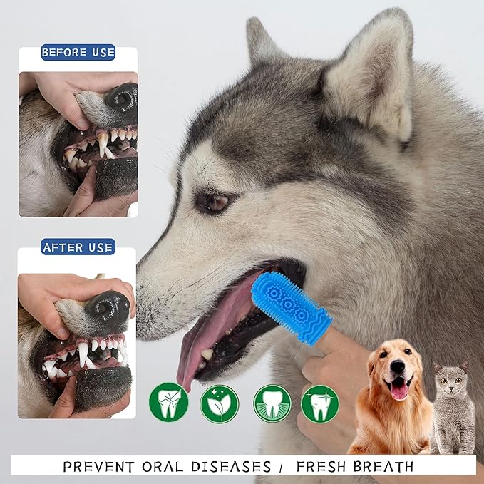 Cat Dog Toothbrush, Dog Tooth Brushing Kit, Cat Toothbrush, Dog Teeth Cleaning, Dog Finger Toothbrush, Dog Tooth Brush for Small & Large Pets, (6)