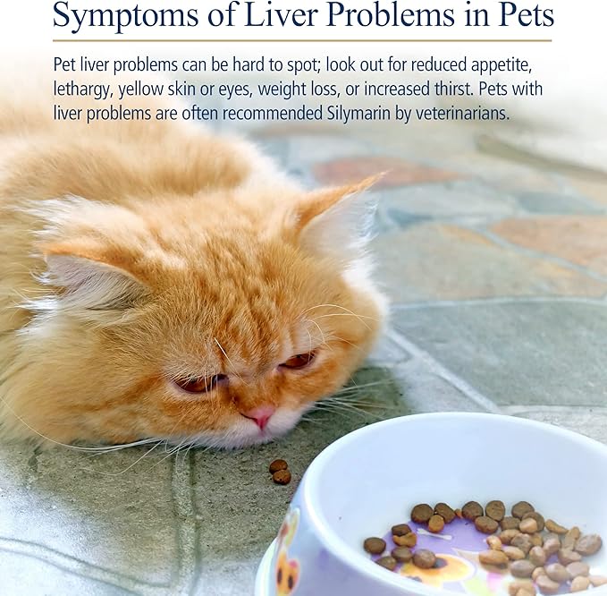 Rx Vitamins Hepato Support for Dogs & Cats - Milk Thistle Supplement for Pets - 100mg Milk Thistle for Healthy Liver Function - Silymarin Capsules for Pets - 180 ct.