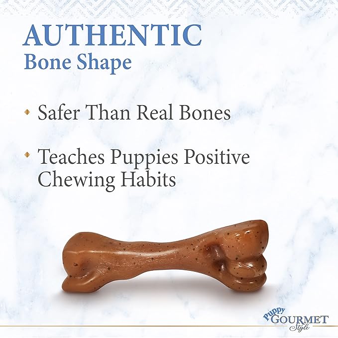 Nylabone Puppy Gourmet Style Strong Chew Toy Bacon Small/Regular (1 Count)