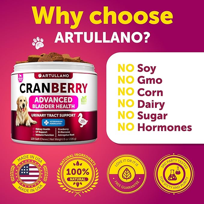 Dog UTI Treatment - Cranberry Supplement for Dogs - Bladder Control for Dogs - Dog Urinary Tract Infection Treatment - UTI Medicine for Dogs - Dog Cranberry Supplement - Kidney Support - 120 Chews