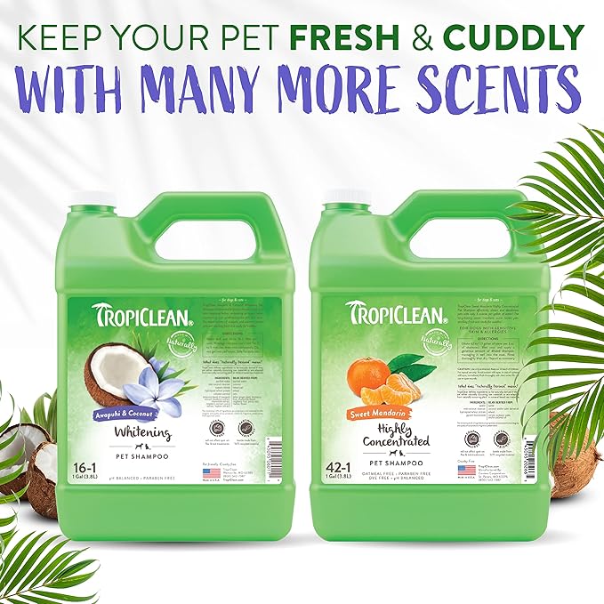 TropiClean Awapuhi Coconut Whitening Dog Shampoo for White Coats & All Coat Types | Natural Pet Shampoo Derived from Natural Ingredients | Cat Friendly | Made in the USA | 1 gal.